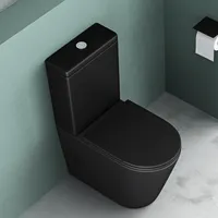 Mai & Mai Stand-WC 108T aus Keramik spülrandloses-WC Anthrazit 36x63x82 cm bodenstehende-Toilette inkl. Spülkasten