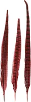Pióra bażanta czerwone prawdziwa naturalna dekoracja 35-45cm 9 szt