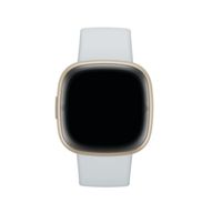 Fitbit Sense 2 Blue Mist / Soft Gold