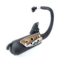 Auspuff Tecnigas Silent Pro für Peugeot Stehend, SV 50 GEO