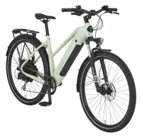 Prophete STACK 2.9 E-ATB 29" – enovation Hinterradmotor 250W, 130 km Reichweite, Shimano Alivio 9-Gang, Hydraulische Scheibenbremsen, LED-Beleuchtung, Li-Ion Akku 48V 480Wh, Moosgrau