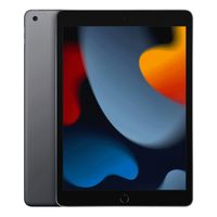 iPad 10.2" Wi-Fi + Cellular 256GB Kozmický sivý (9. gen.)