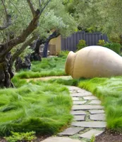 BALDUR-Garten Gräser-Teppich "Carex Remota",3 Pflanzen, winterharte mehrjährige Staude, 4-5 Pflanzen pro Quadratmeter, für Standort im Schatten geeignet