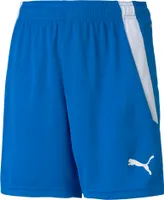 Puma Teamliga Shorts Kinder - Royal