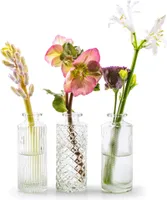 12 x  Vasen MIRA aus Glas - Glasflaschen - H 13,5 cm - Dekovasen - Glasvasen - Tischvase - Blumenvasen - Väschen