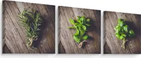 Leinwand Bilder Set Aufhängefertig 3 Bilder für Küche KRÄUTER Pflanzen Bretter 90cm x 30cm (3x 30cm x 30cm)