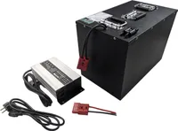 60V 80AH Lithium LiFePO4 Akku (380x280x330mm) Pedelec e bike e-bike Akkupack PV