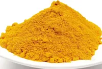 Bio Kurkuma Wurzel gemahlen | 250 g | Kurkumapulver