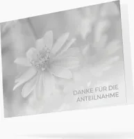 Friendly Fox Danksagungskarten Trauer mit Umschlag, 12 Trauerkarten Danksagung mit Umschlag "Gänseblümchen", Dankeskarten nach Beerdigung, Danke
