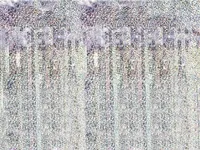 Kurtyna Party holograficzna 90x250cm
