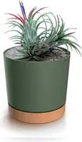 Blumentopf Übertopf Blumenkübel mit EcoHolz Untersetzer Rund Tubo ⌀32,6 cm Grün