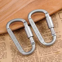 Karabiner Aluminium 2er Set