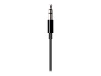 Apple MR2C2ZM/A - 3.5mm - Männlich - Lightning - Männlich - 1,2 m - Schwarz