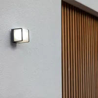 Lutec LED Außenwandleuchte Telin anthrazit IP54