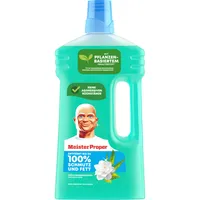 Meister Proper Jarní probuzení 1L