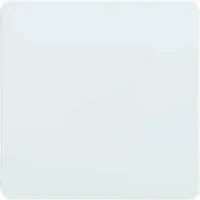 ELSO Wippe rw f. Taster/Schalter 213604