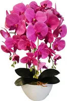 Umelá orchidea Damich, ružová, z gumy, 3pgo2