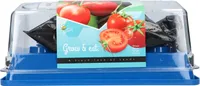 Kinderanbauset komplett Tomate
