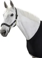 Eskadron Halfter Schiebeschnalle Basics Pferdehalfter Black P1