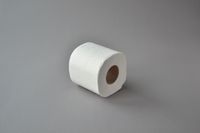 Toilettenpapier 32 Rollen Extra Stark Wc Papier Klopapier Kartonversand XXL 