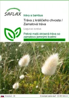 SAFLAX - Tráva z králičieho chvosta / Zamatová tráva - Lagurus ovatus - 100 Semená