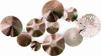Wanddeko Seerose HTI-Line