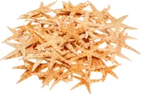 Sugar Seestern Natur, Durchmesser ca. 8-10cm, verpackt im Beutel mit 50 Stück | Deko Seestern