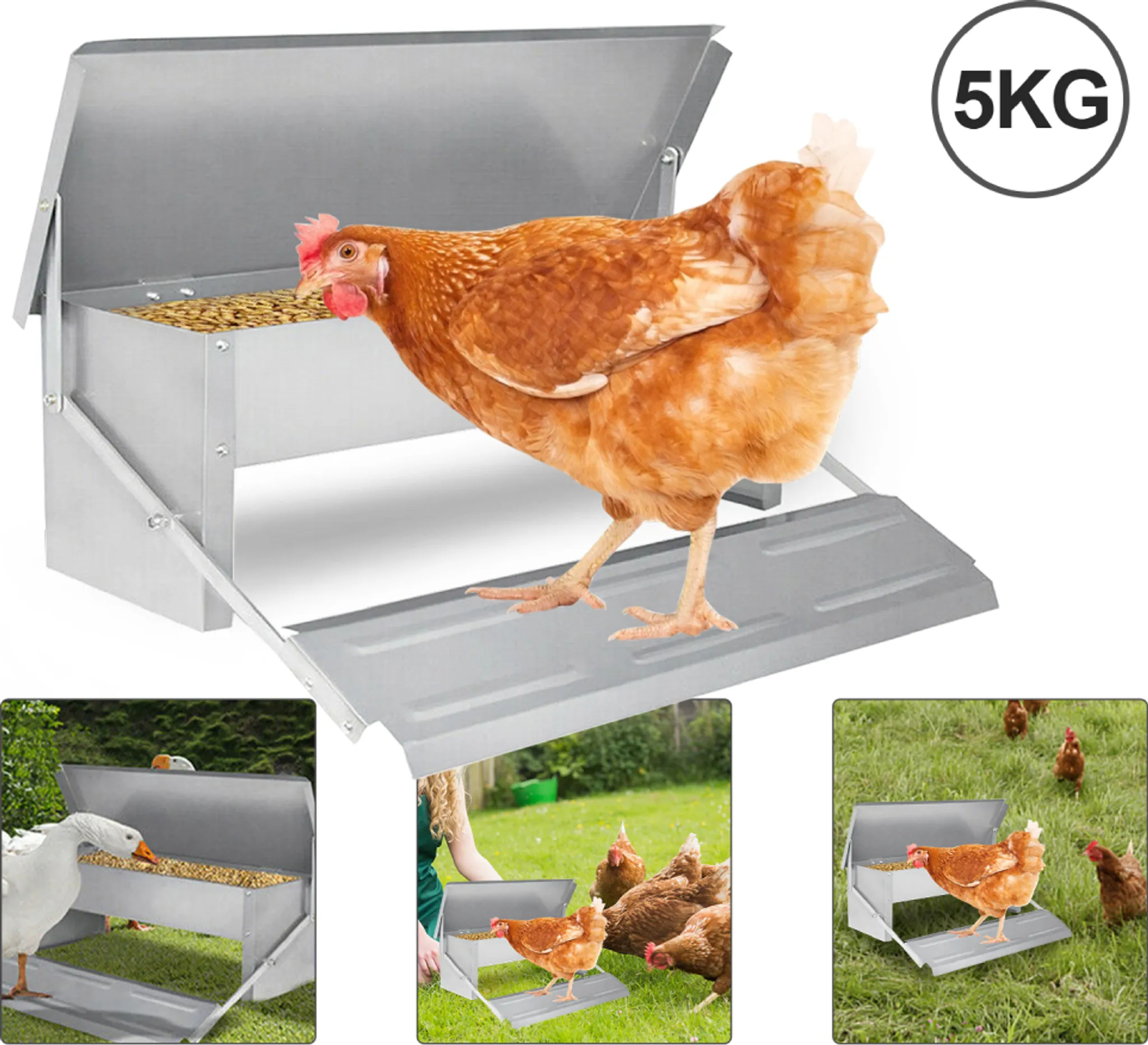 Mangiatoia Per Polli Da 5 Kg, Realizzata In Acciaio Zincato, Con