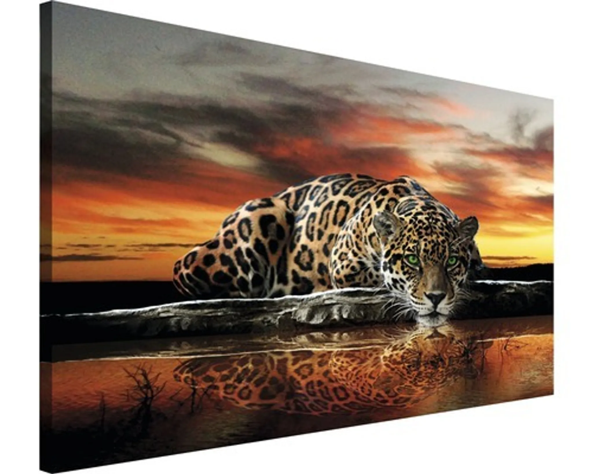 Leinwandbild Leopard 75x100 cm Leinwandbild