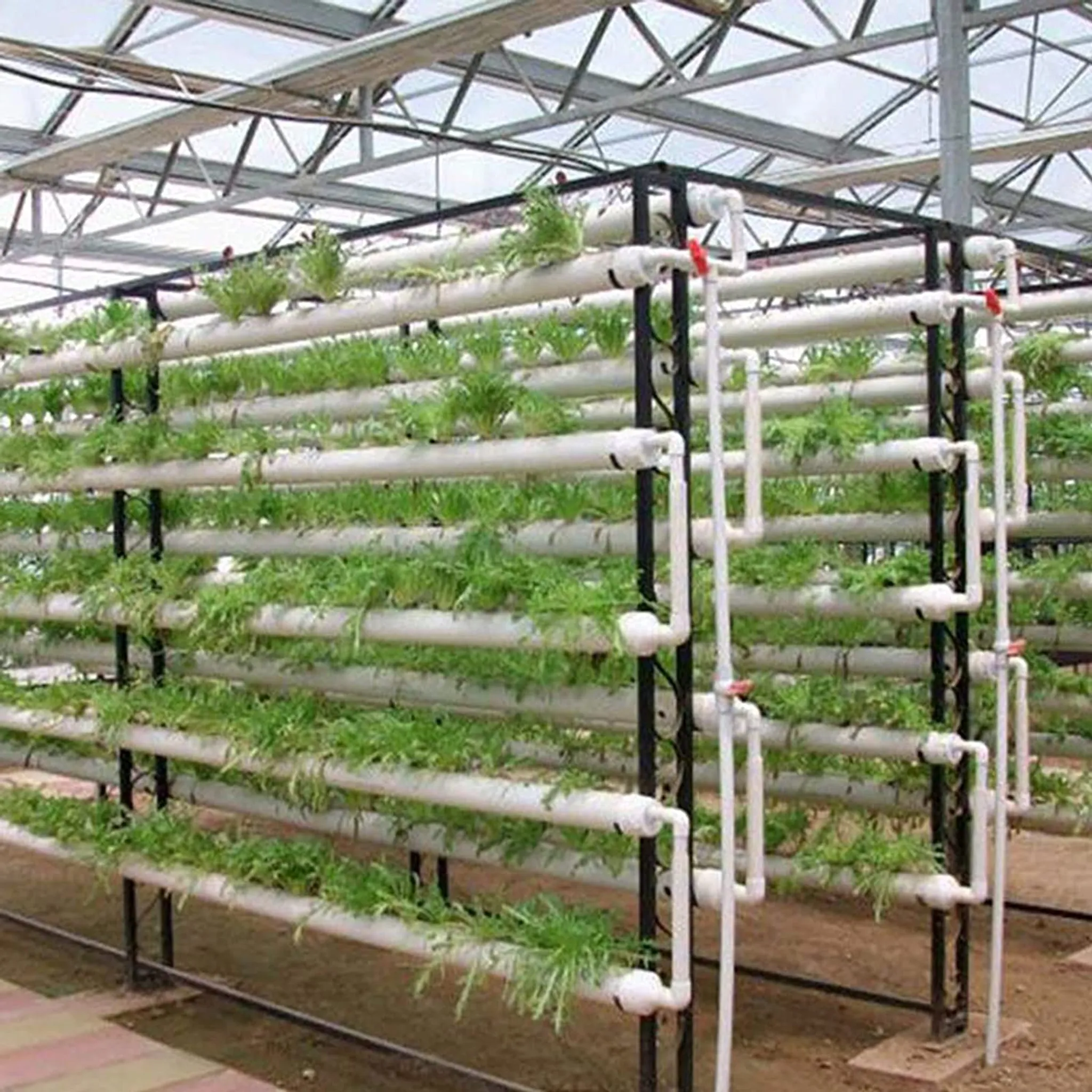 mit Wasserpumpe Schlauch Wasserkultur Gartenpflanzensystem für Blattgemüse Ethedeal Hydroponic Grow Kit PVC-U Gemüsegarten System 4 Rohre 36 Pflanzplätze 