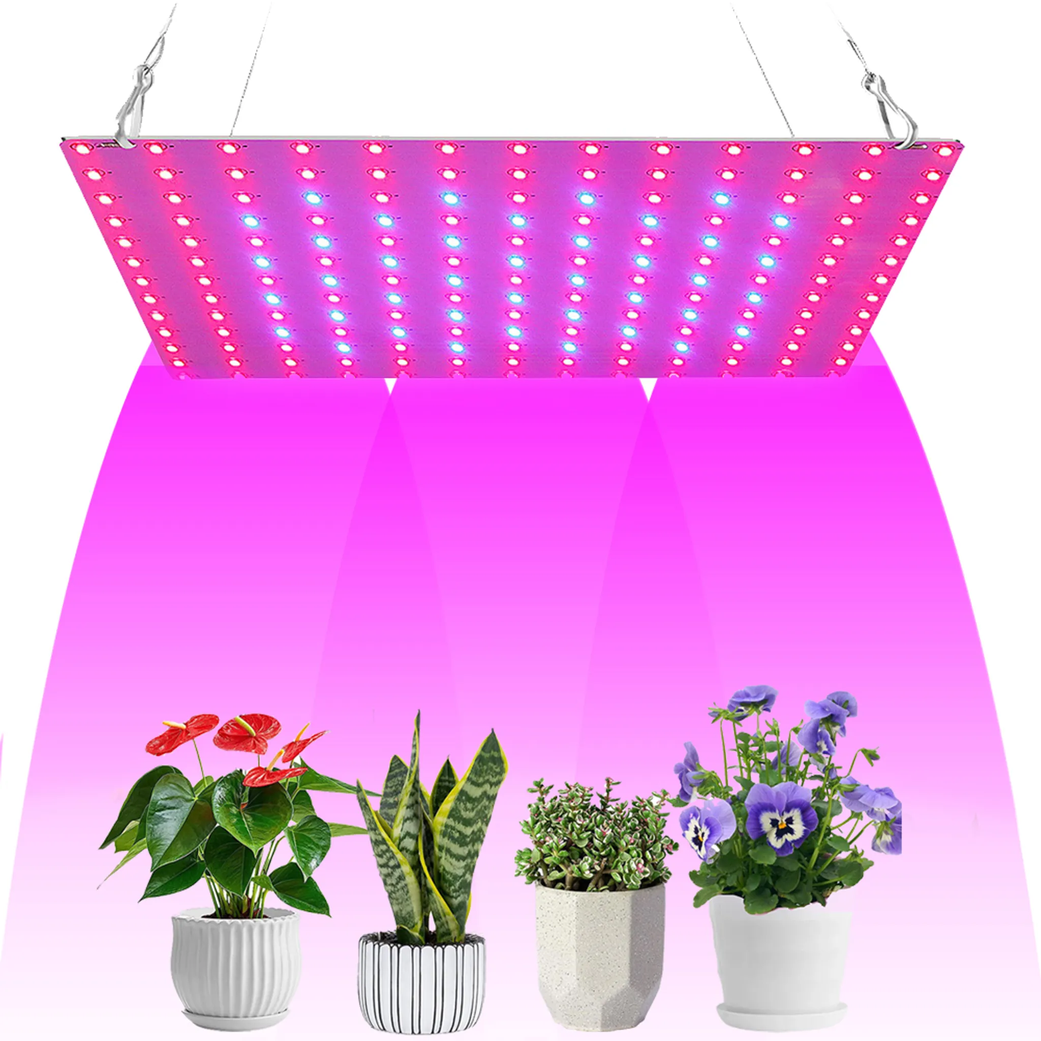 Romberg LED Pflanzenbeleuchtung, 20 cm, 5 Watt