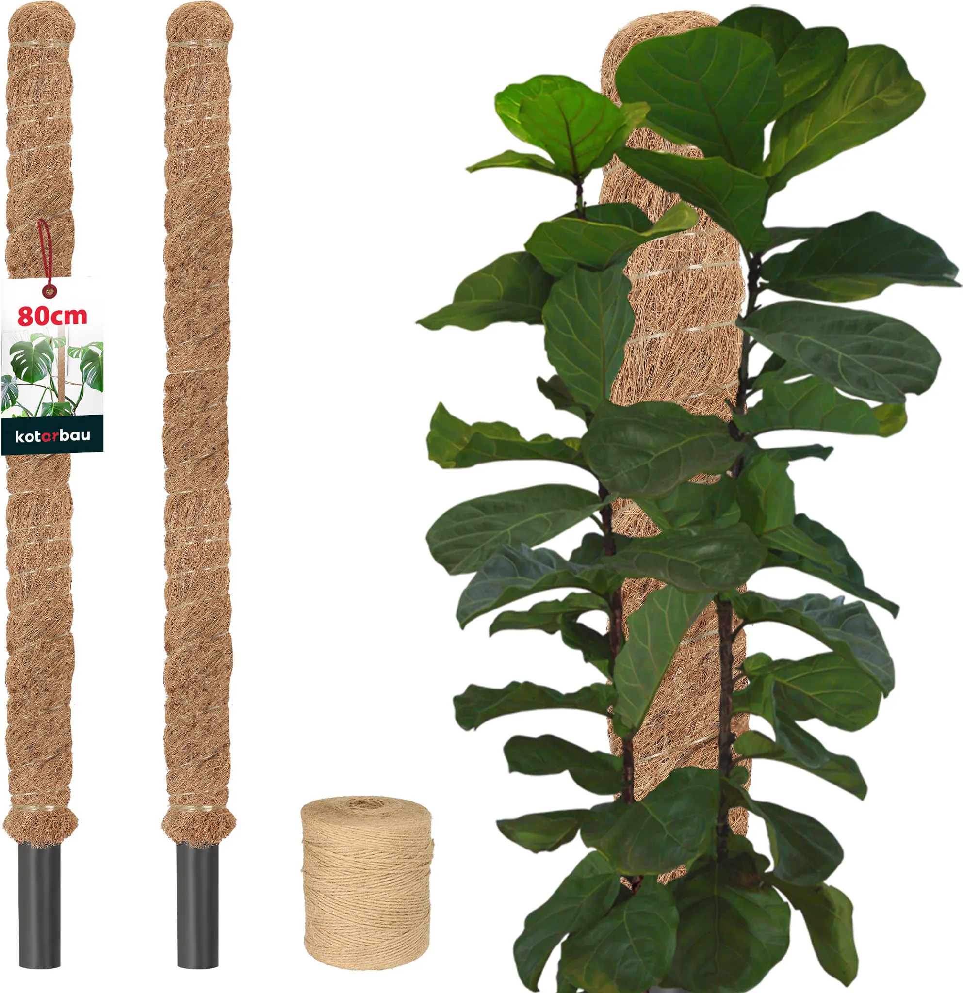 Pflanzenstab Fr Orchideen Rosen Bohnen 44 Stck Orchideenstbe Flexible  Pflanzensttze Mit 22 Clips 30cm - Fr Drinnen & Drauen