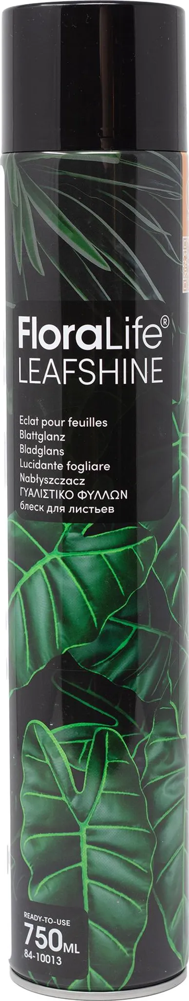 FLORALIFE Blattglanz Spray 750ml Oasis Pflanzenpflege