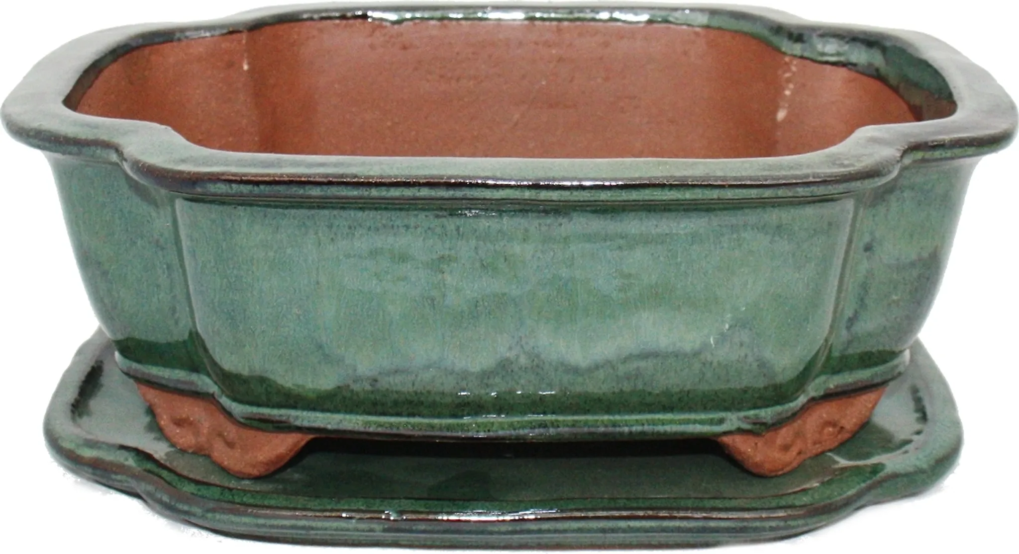 Exotenherz Ciotola Per Bonsai Con Piattino - Modello G29 Rettangolare - Marrone Oliva - 18x13x6 Cm