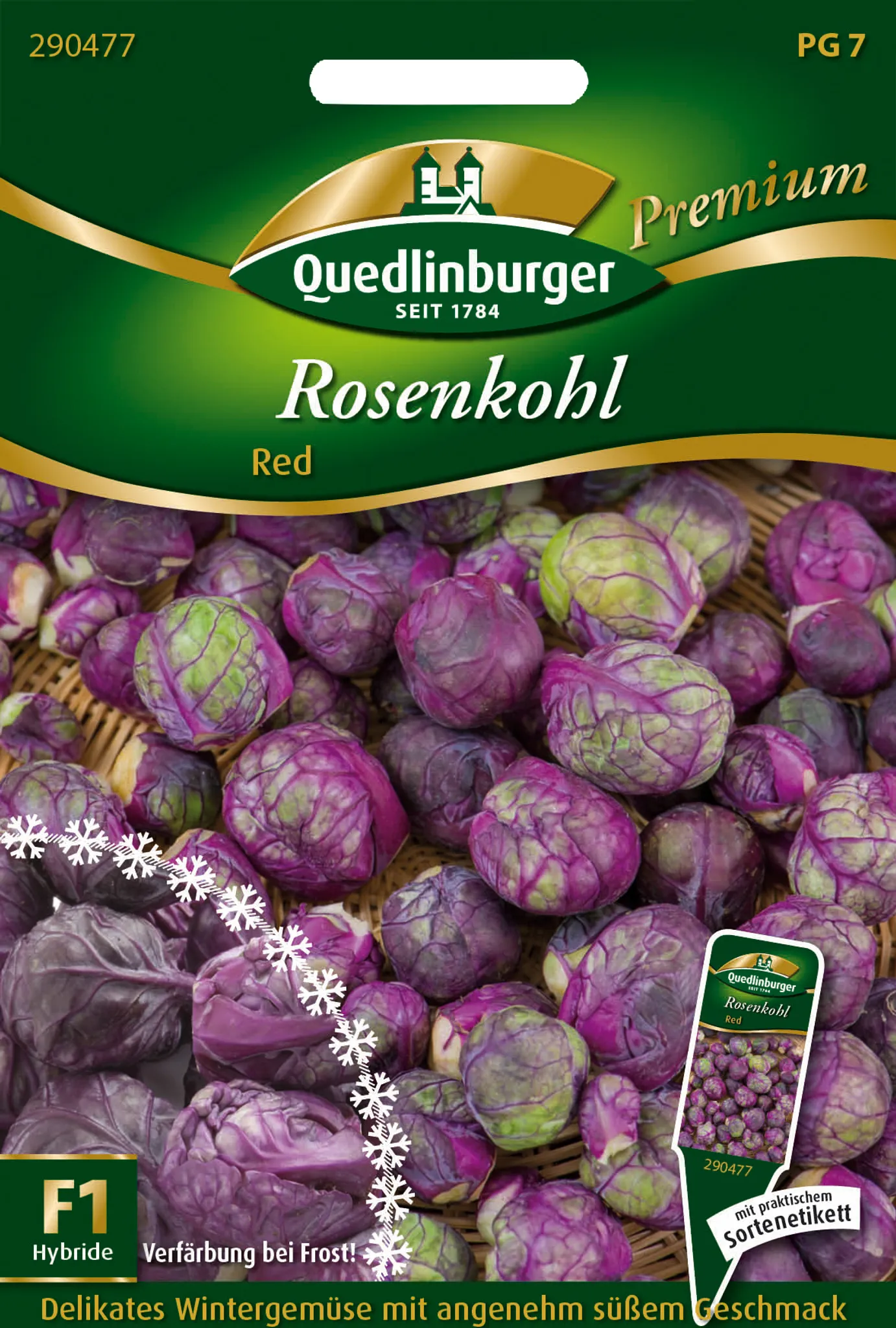 Rosenkohl-Samen 'Roodnerf' Von Sperli – Späte Sorte Für Winterernte, Aussaat April-Mai