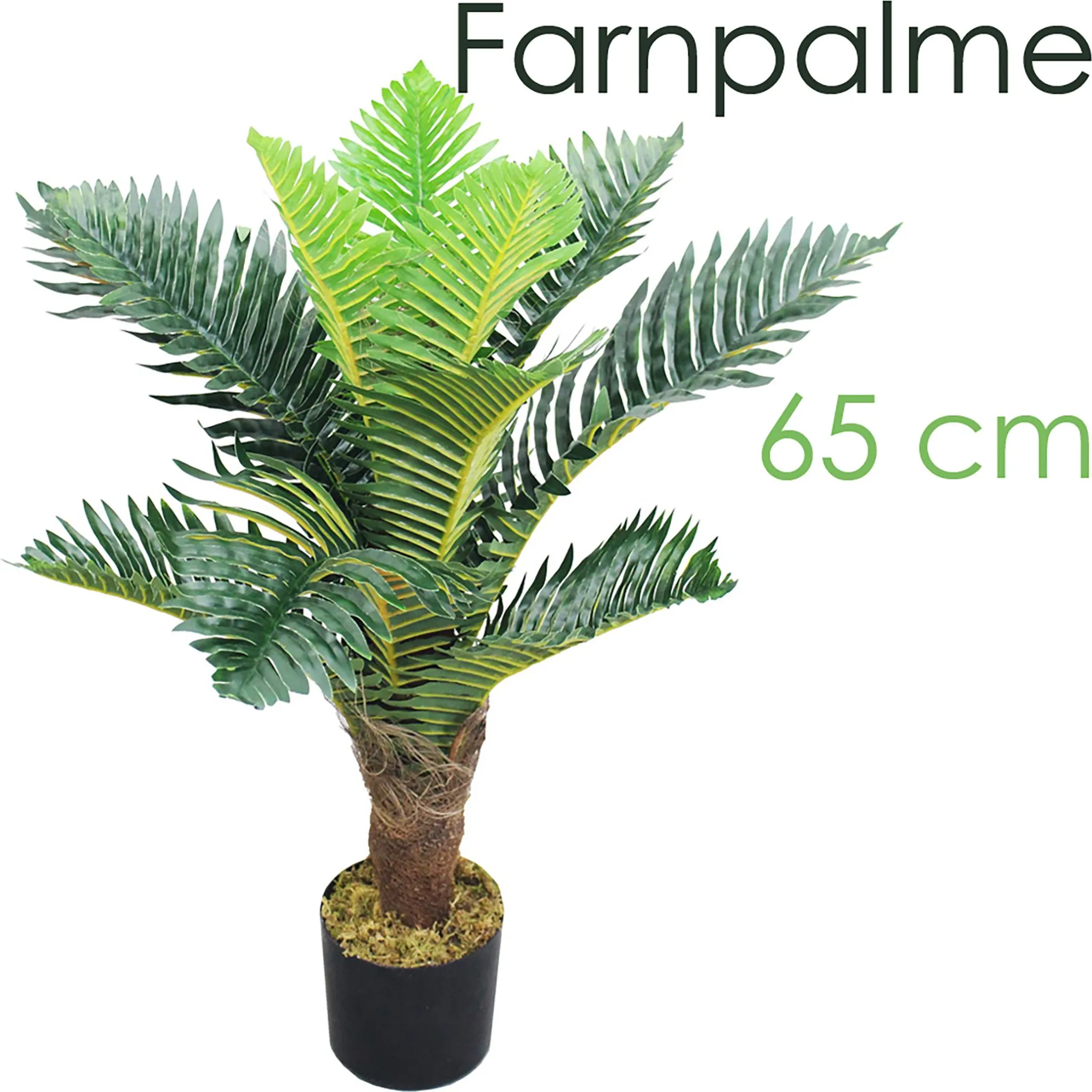 Künstliche Palme 71cm Mit Korb - Kunstpflanze Groß Für Wohnzimmer & Balkon, Boho Deko