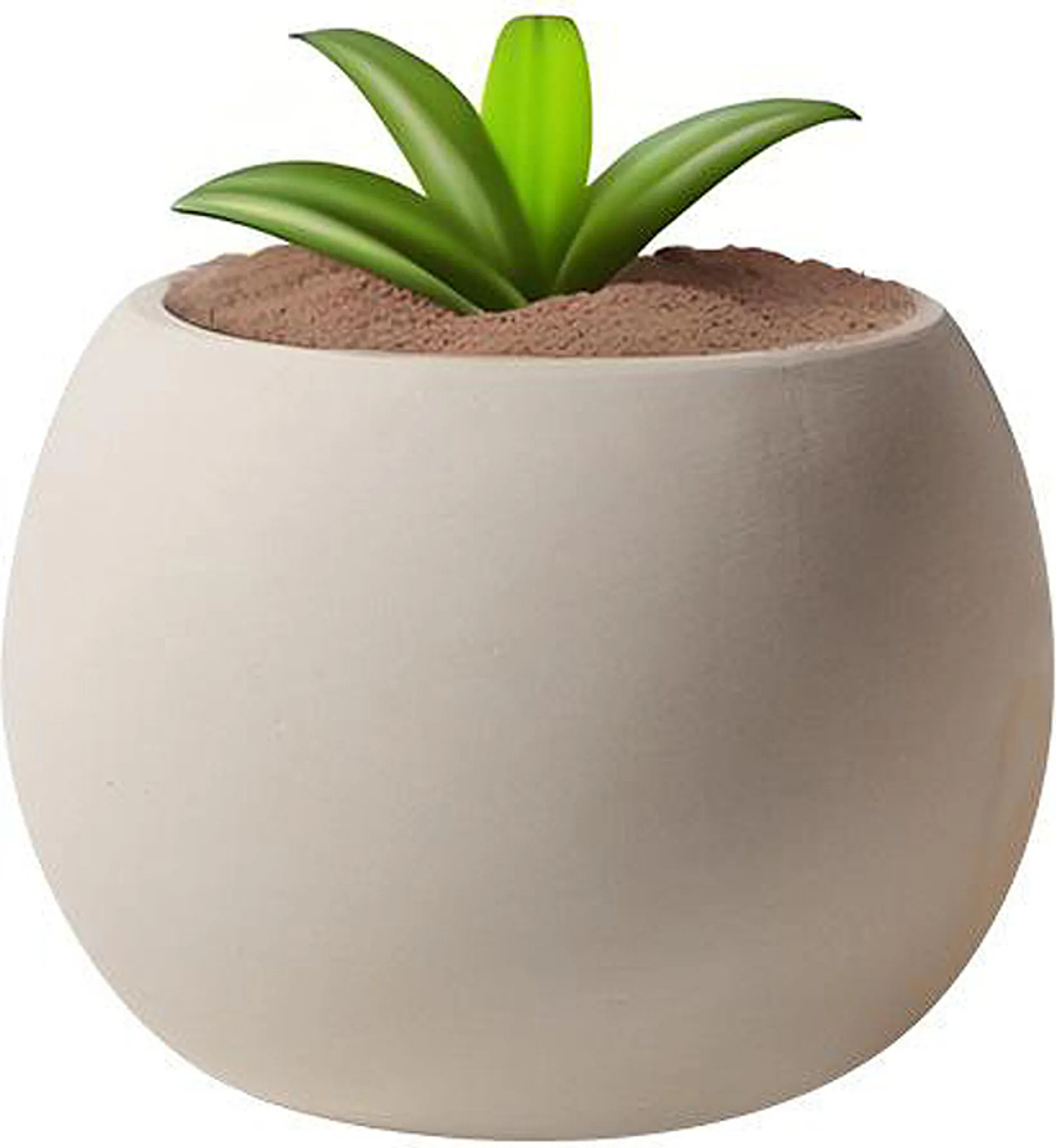 Keramik-Blumentopf Cremeweiß Rund - 15,2 Cm Durchmesser, Mit Drainageloch Und Untersetzer, Für Drinnen & Draußen