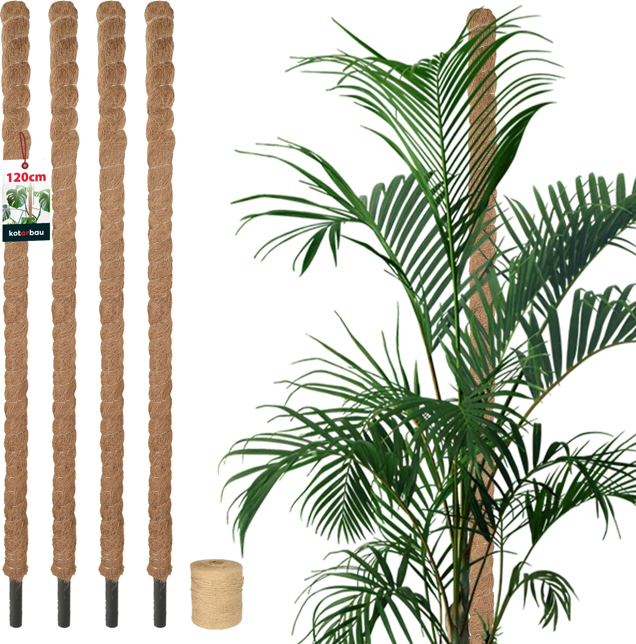 Pllieay - 20 Bastoncini Per Piante In Cocco Con Connettori - 42 Cm, Diametro 11 Mm - Supporto Per Piante Rampicanti E Fiori