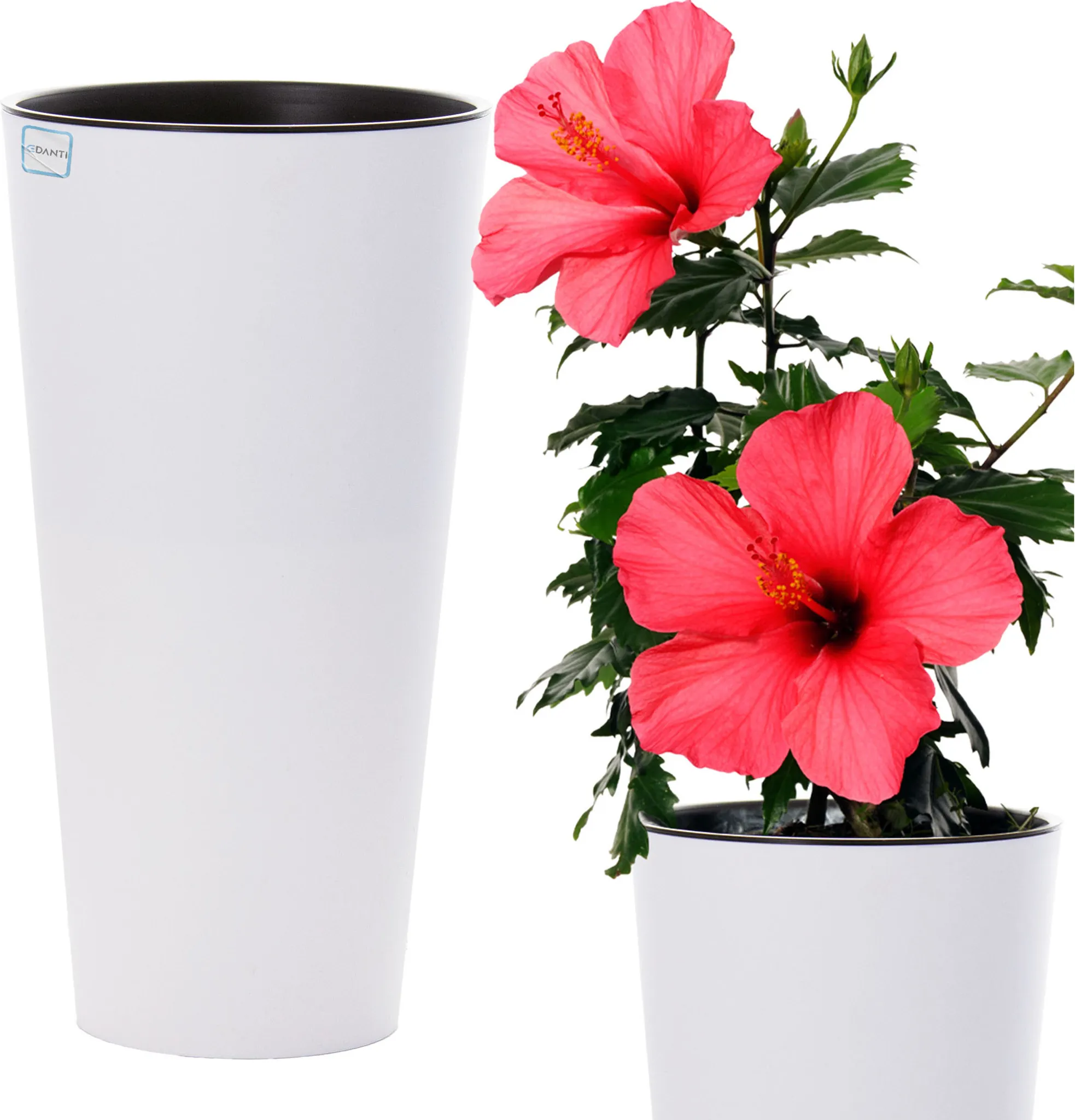 Lot De 50 Pots De Fleurs En Plastique Bleu LATERN - Dimensions 15x13 Cm - Avec Trous De Drainage - Pour Semis, Plantes Grasses, Boutures