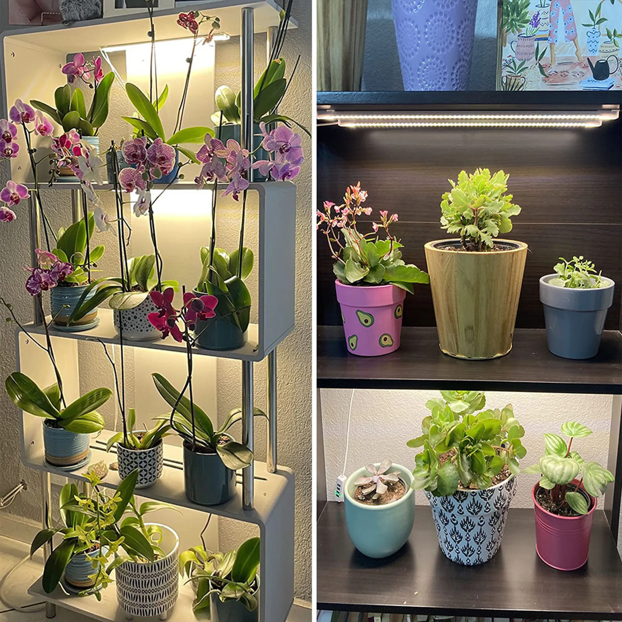 Lampada Per Piante LED 2 Barre - Luce Crescita Spettro Completo, Timer 6/12/18h, 5 Livelli Intensit&agrave;