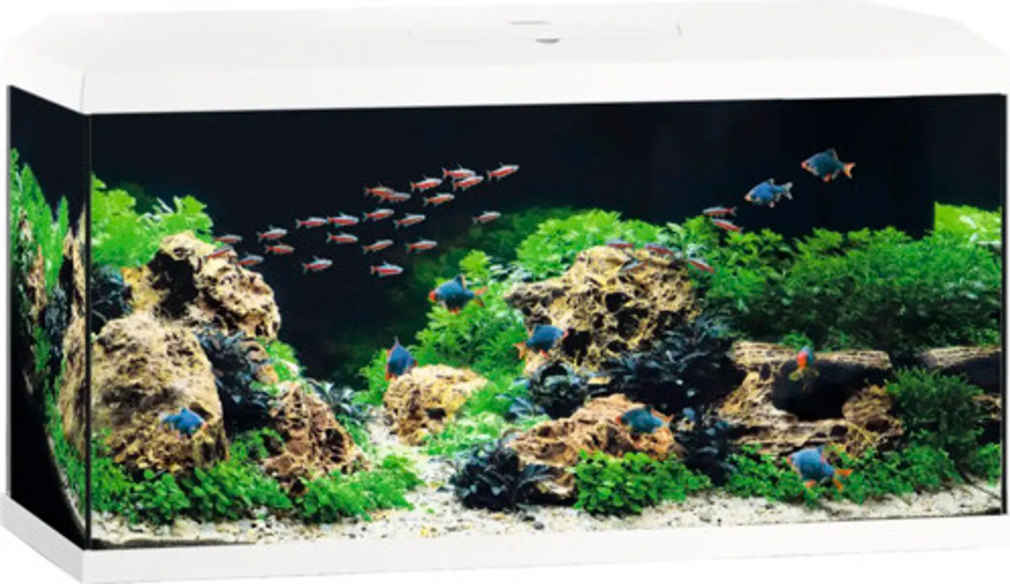 Aquarium Set – 1 Transparentes Aquarium (13,2x10,2x7,2 Cm) + 2 Kunststoff-Wasserpflanzen + 50 Leuchtende Steine, Für Zierfische & Landschaftsbau
