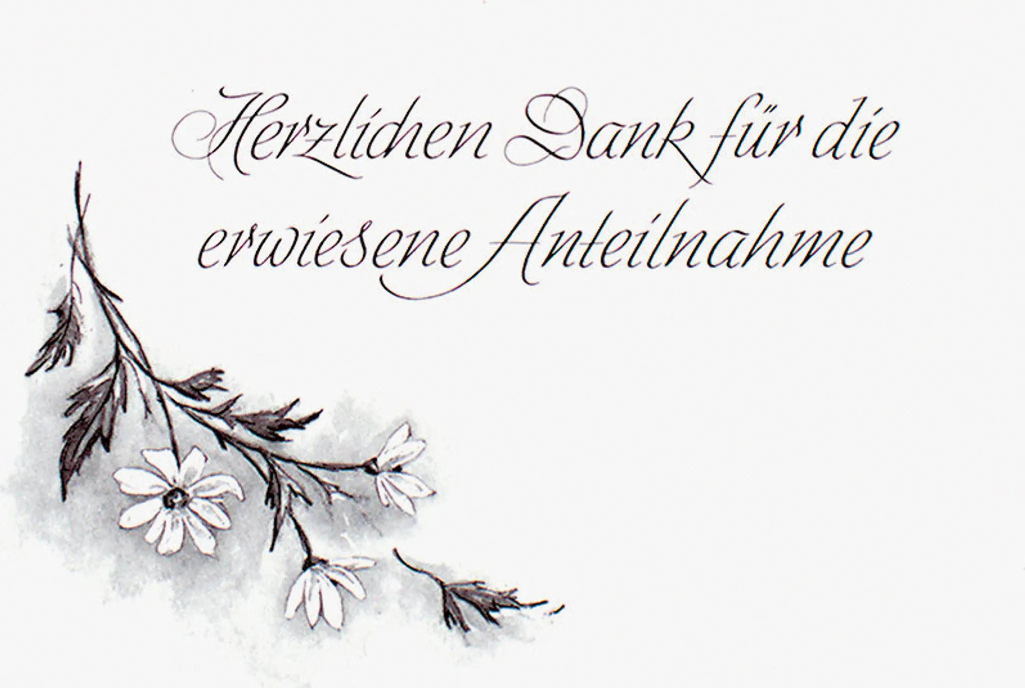 Cadeau Parfait 10 Dankeskarten Trauerfall + Umschläge - Waldmotiv, 10x15cm