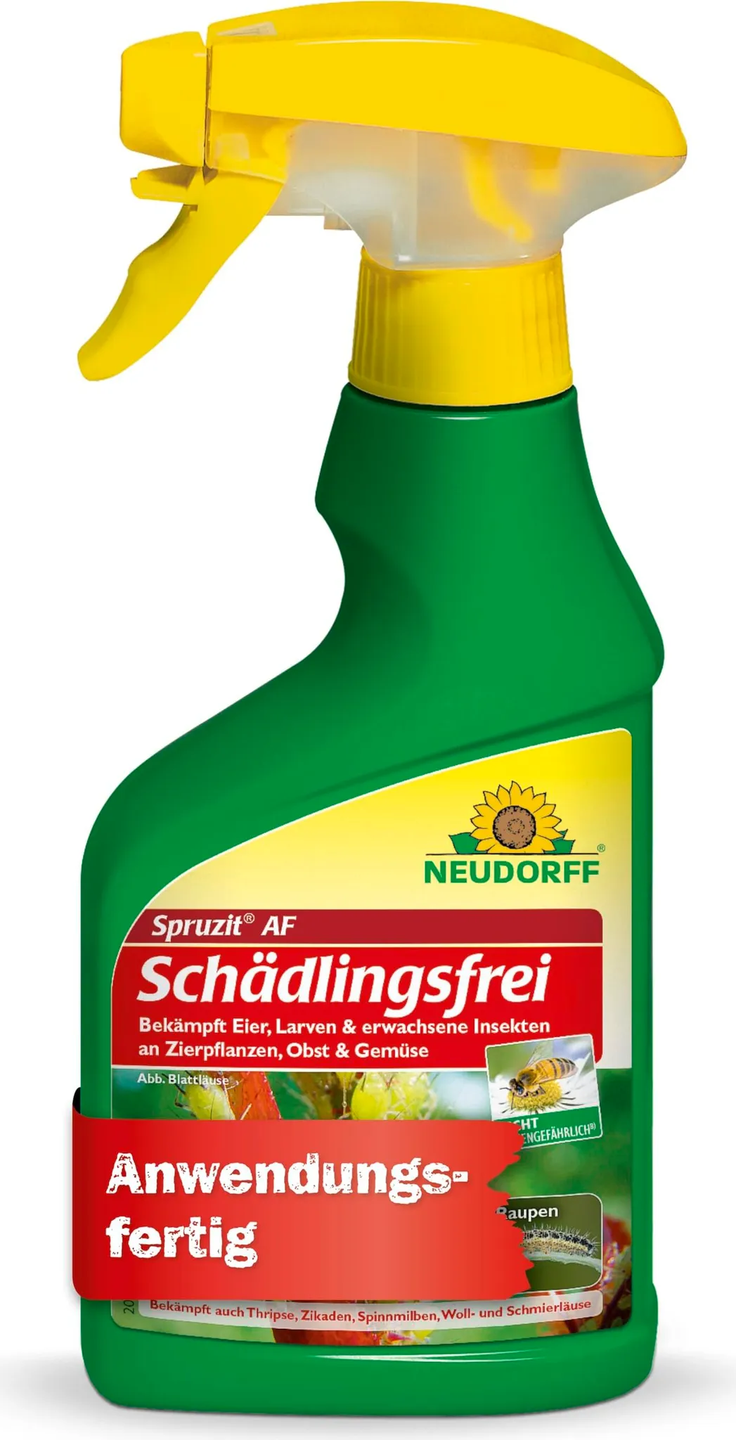 zimmerpflanzen kakteenarten Mini Kakteen Set 10 Pflanzen 1015 cm  Kaktus Zimmerpflanzen im Topf   pflegeleicht & dekorativ
