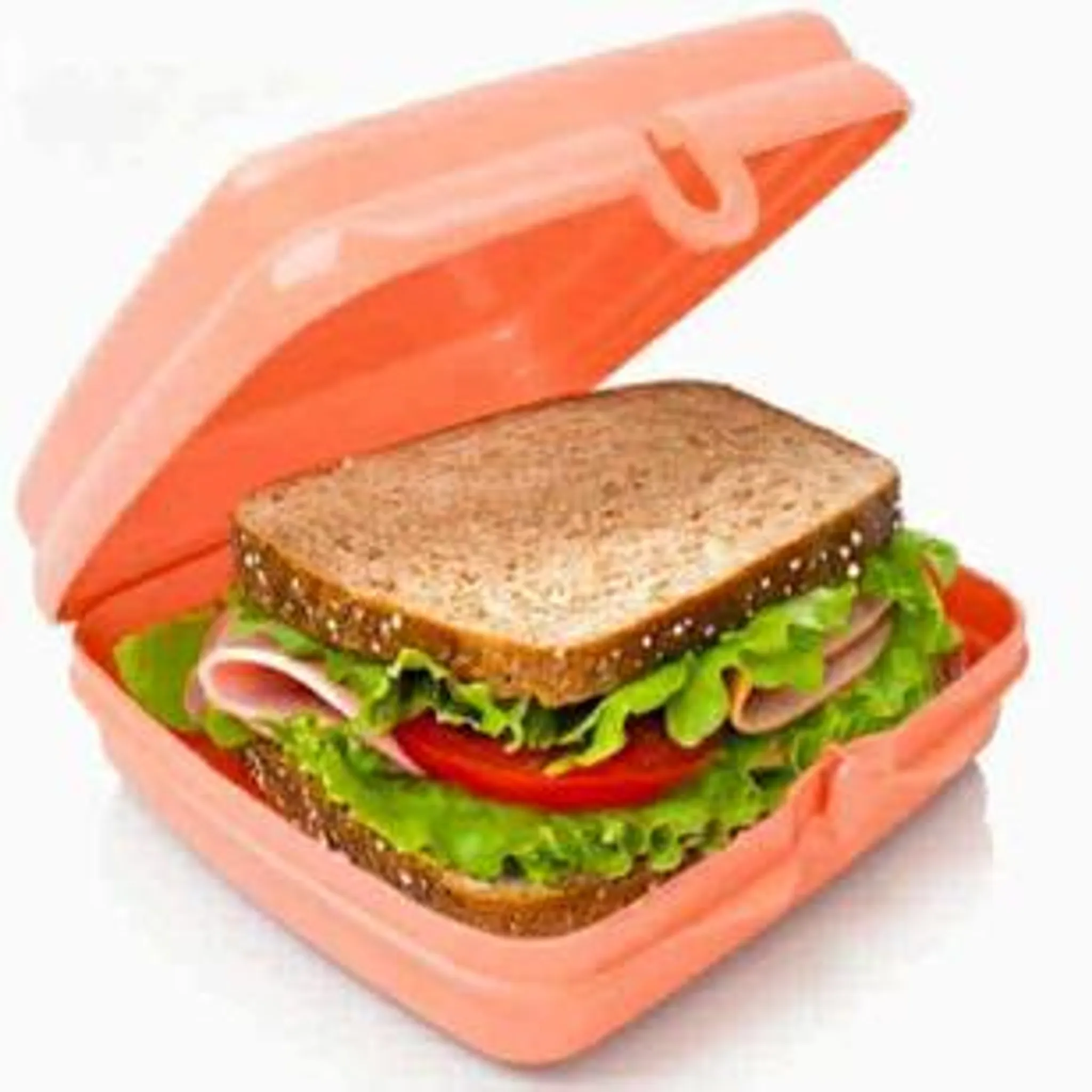 TUPPERWARE To Go Sandwich-Box Pfirsich Brotbox Schule