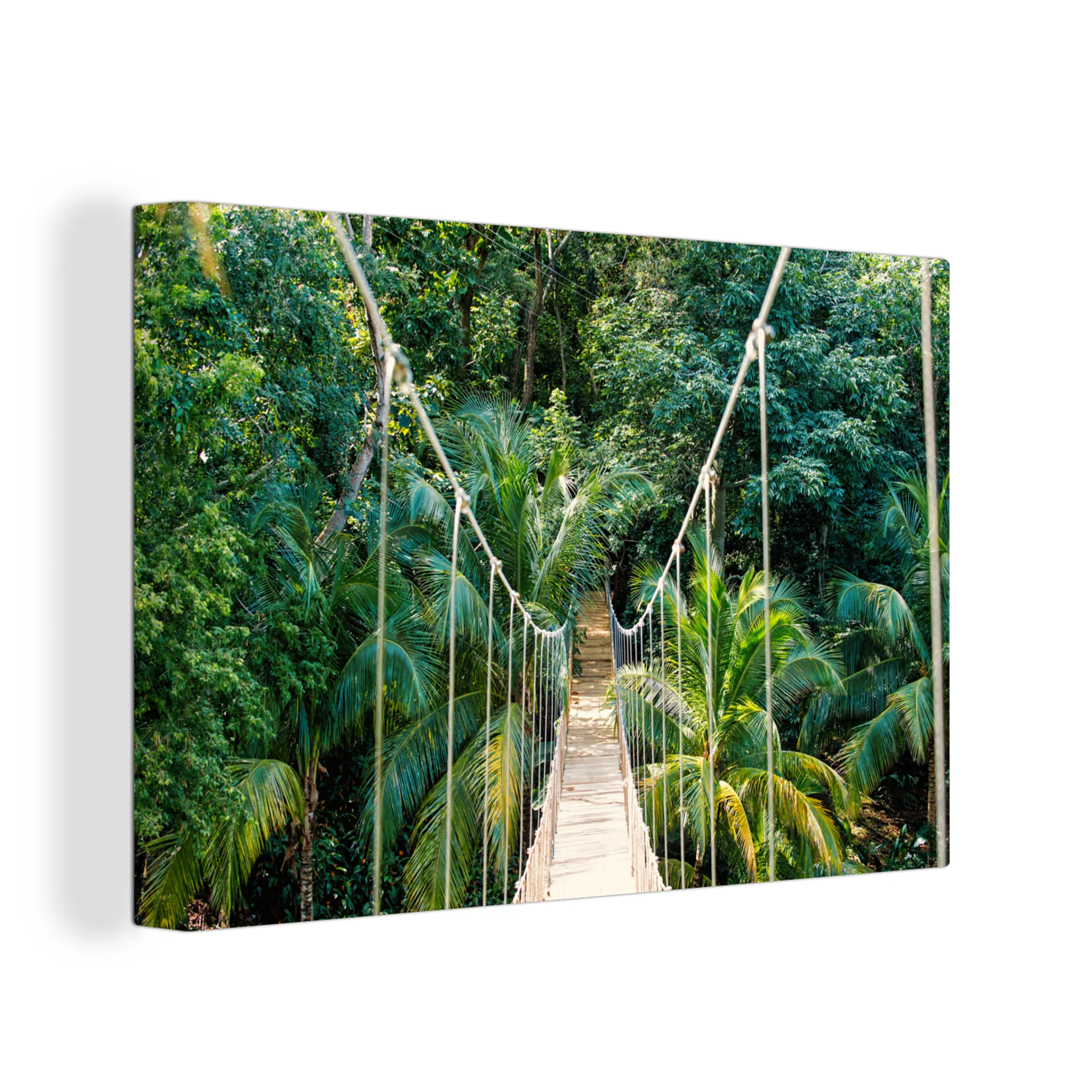 OneMillionCanvasses® - Leinwandbilder - 120x80 cm, Dschungel - Palme -  Brücke