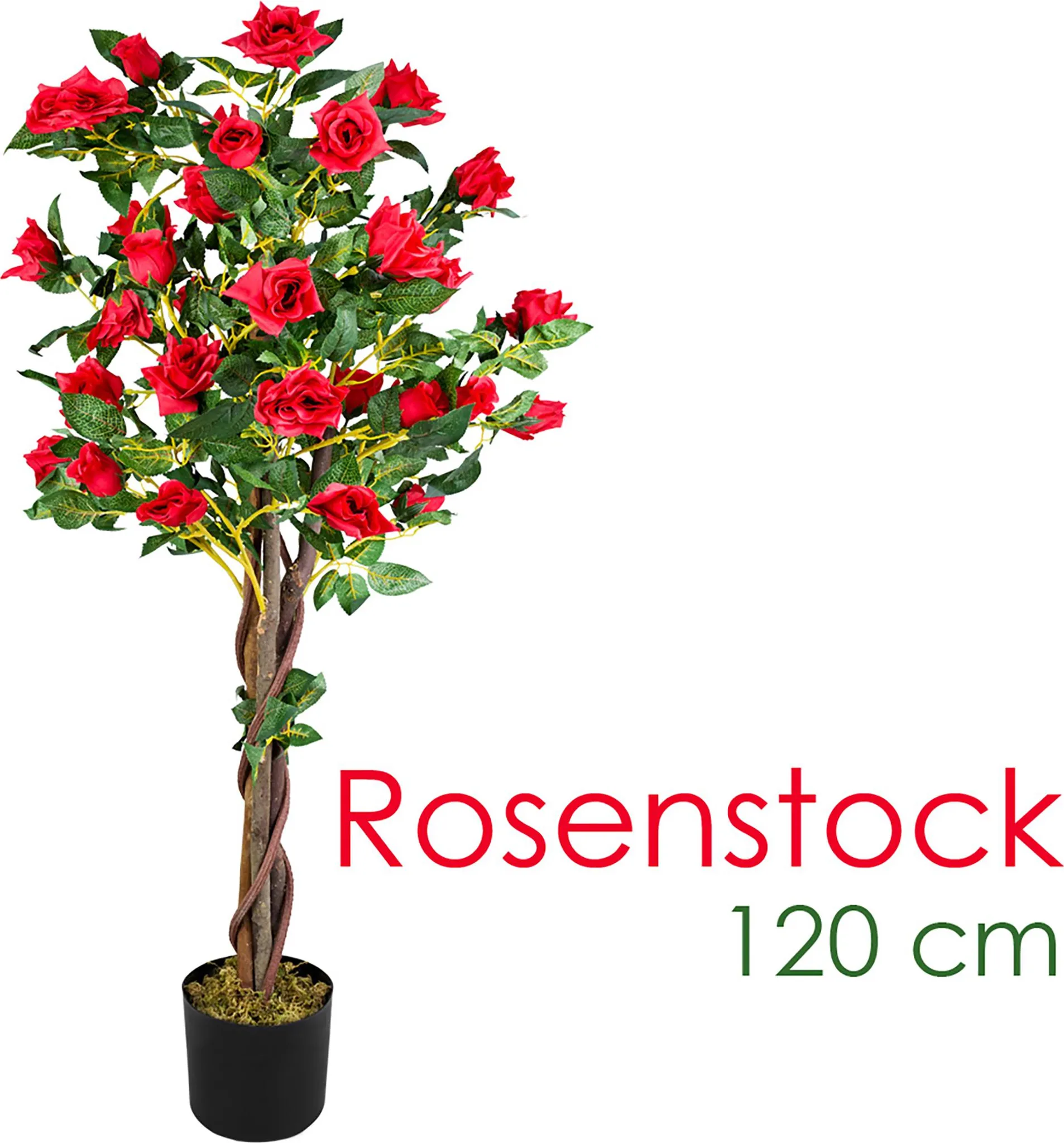 HOMESCAPES Palmier nain artificiel en pot, 80 cm