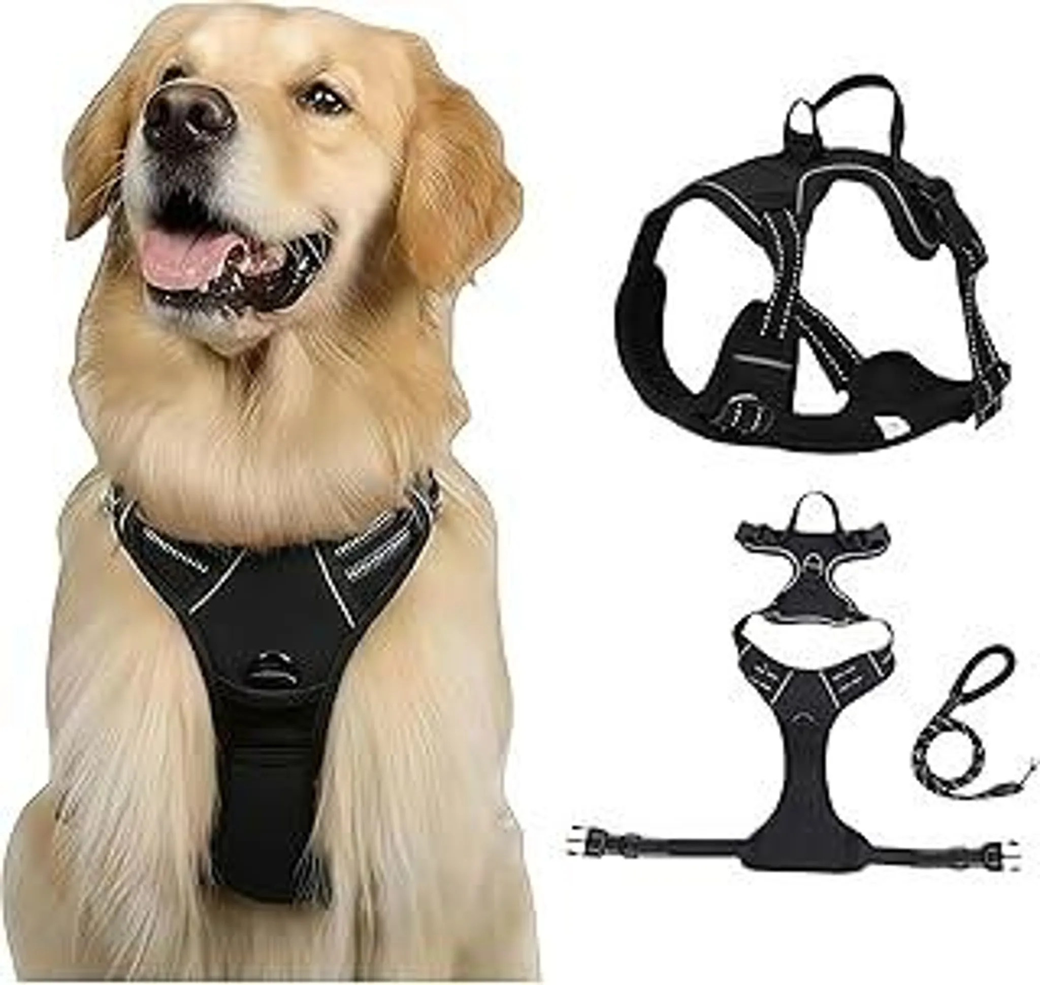 hundebetten aus leder Wasserdichtes Antihaftbeschichtetes PU-Leder Kratzfestes Hundebett mit  vollem Support