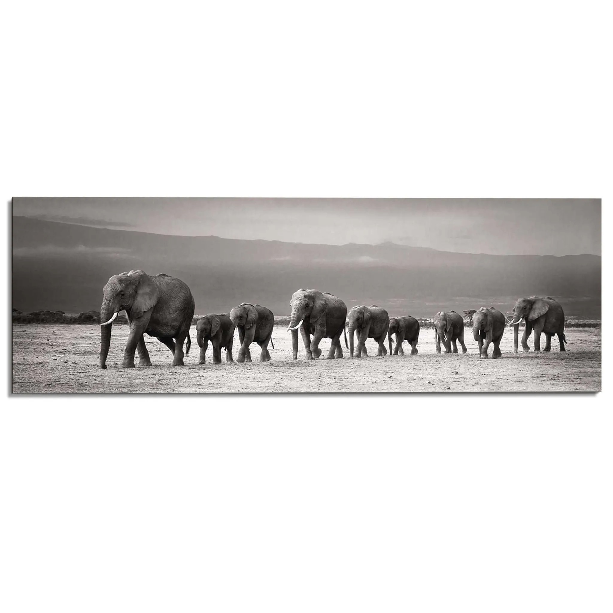 Panel Deco Wandbild Elefantenmarsch Tiermotiv