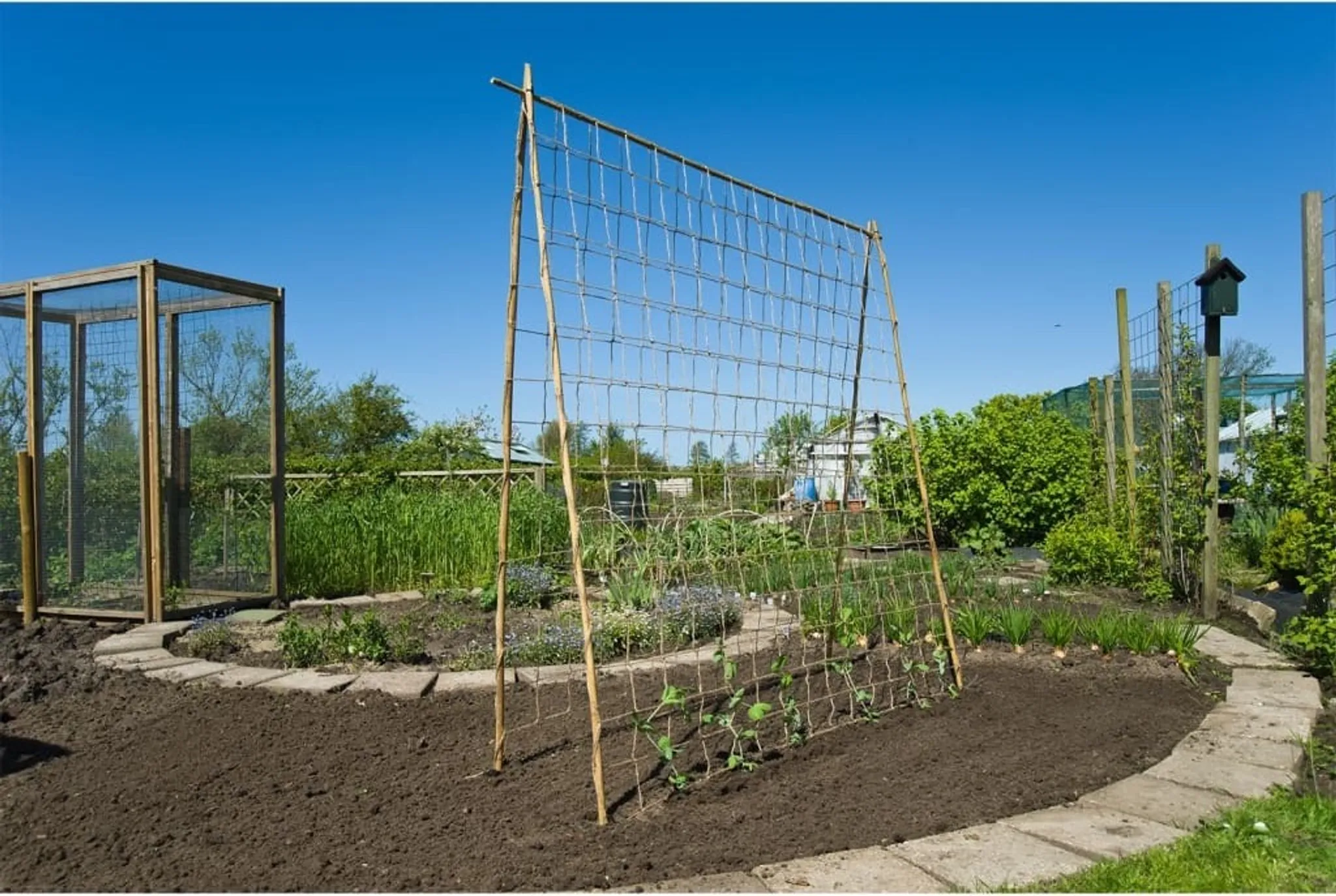 Rete Per Piante Rampicanti In Jute GardenGloss - Maglia 10x10 Cm, Biodegradabile - Foto 2