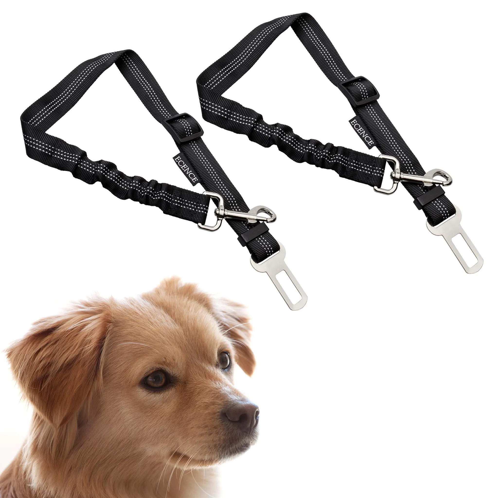 Set Hundehalsband und Auto Sicherheitsgurt Adapter Autogurt Hunde Halsband